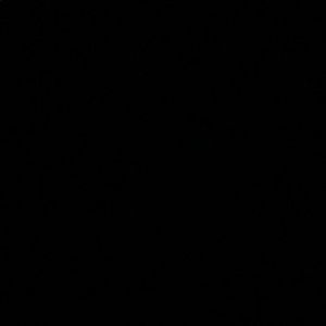 Meet your Posher, Selma